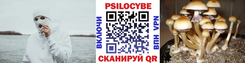 Галлюциногенные грибы Psilocybine cubensis  кракен как войти  Балей 