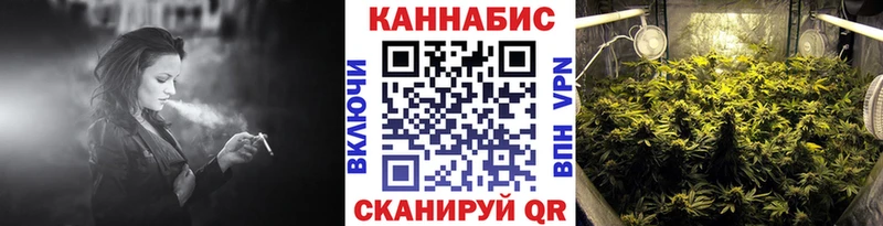 купить наркотики сайты  Балей  Бошки марихуана индика 